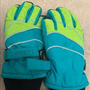 L.L. Bean Blue and Green Mittens Waterproof Design
